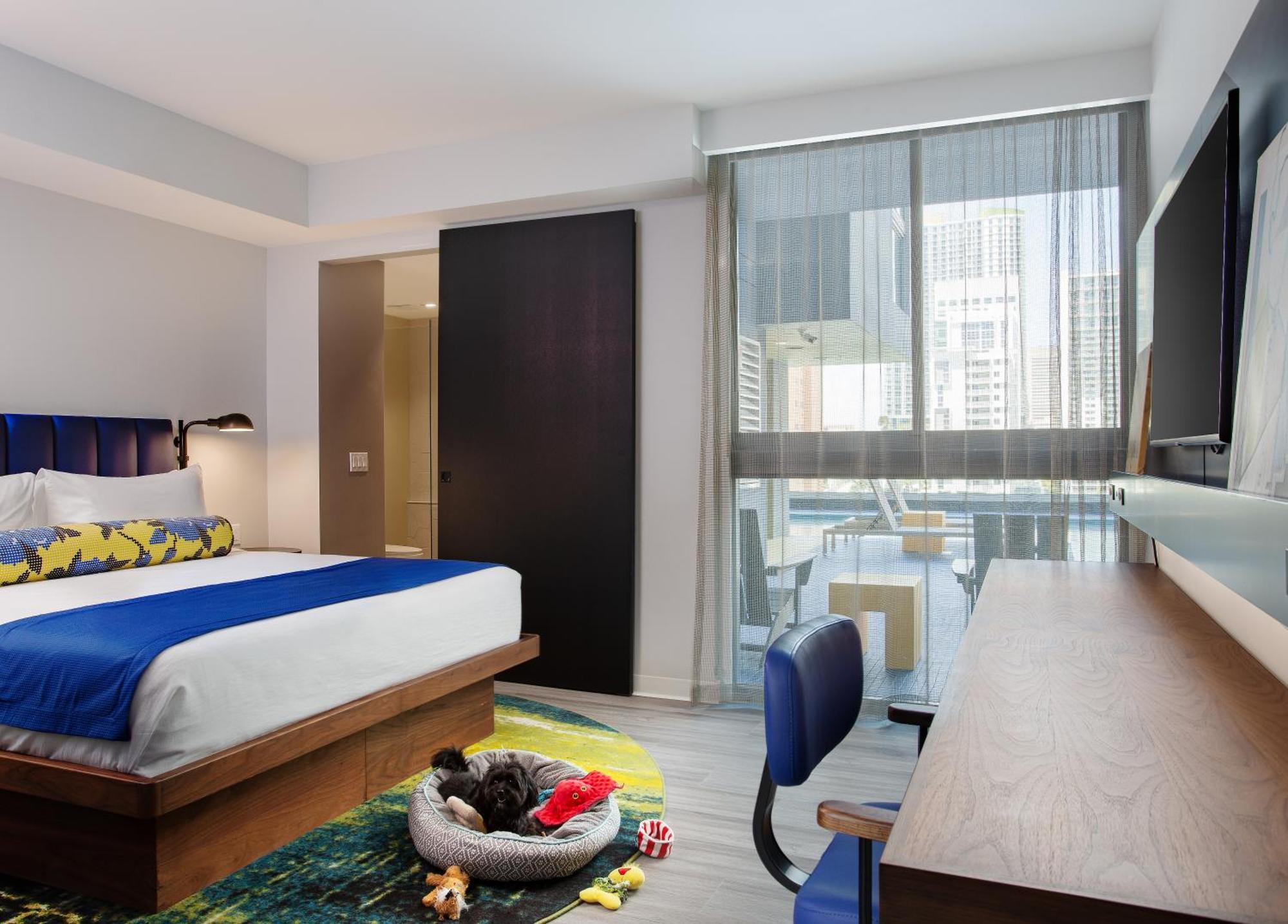 Hotel Indigo Miami Brickell By Ihg Номер фото